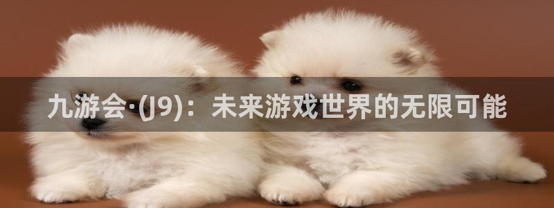 南宫益达娱乐官网下载链接：九游会·(J9)：未来游戏世界的无限可能