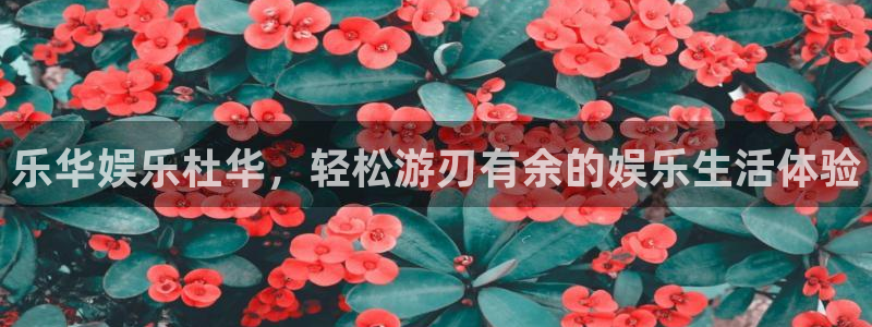 益达娱乐免费注册：乐华娱乐杜华，轻松游刃有余的娱乐生活体验