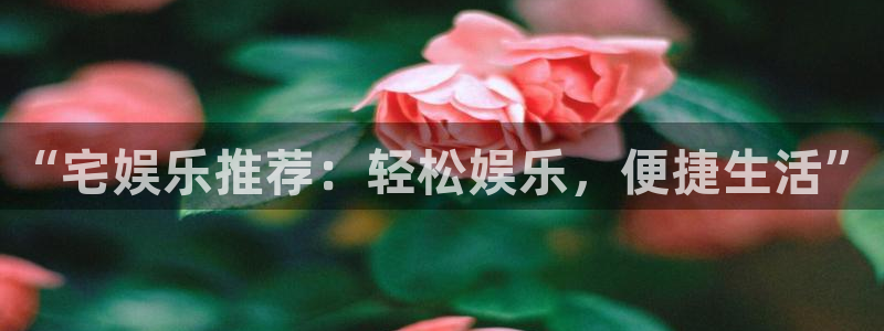 益达娱乐平台官网入口下载：“宅娱乐推荐：轻松娱乐，便捷生活”