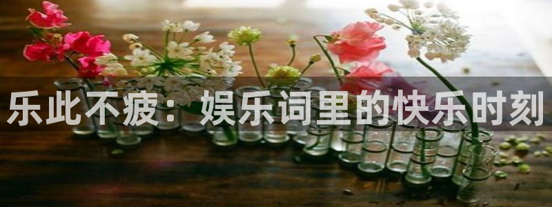 壹号电子娱乐app下载官网：乐此不疲：娱乐词里的快乐时刻