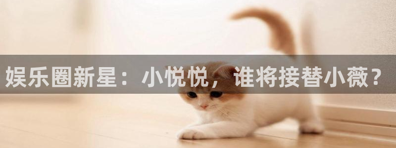 益达娱乐电子游戏网页版：娱乐圈新星：小悦悦，谁将接替小薇？