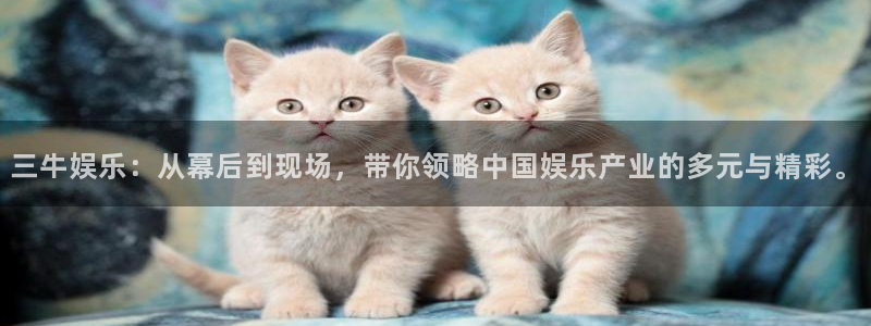 益达娱乐充值怎么退款：三牛娱乐：从幕后到现场，带你领略中国娱乐产业的多元与精彩。