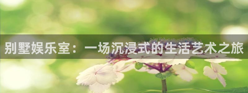 益达娱乐ccm麻将胡了：别墅娱乐室：一场沉浸式的生活艺术之旅