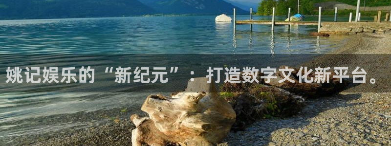 益达娱乐,apk：姚记娱乐的“新纪元”：打造数字文化新平台。