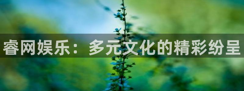 益达娱乐加拿大：睿网娱乐：多元文化的精彩纷呈
