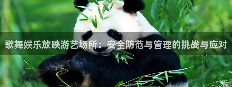 益达娱乐下载二维码：歌舞娱乐放映游艺场所：安全防范与管理的挑战与应对