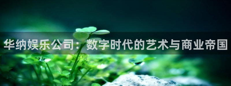 益达娱乐游戏官网入口：华纳娱乐公司：数字时代的艺术与商业帝国