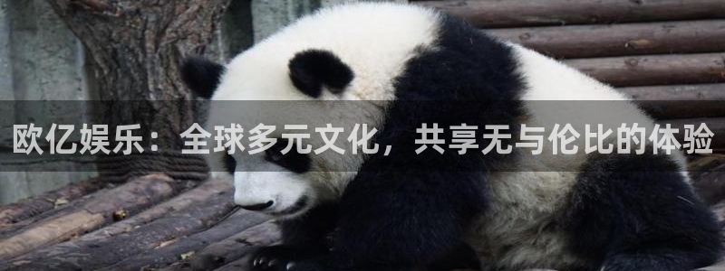 益达娱乐充值怎么退款：欧亿娱乐：全球多元文化，共享无与伦比的体验