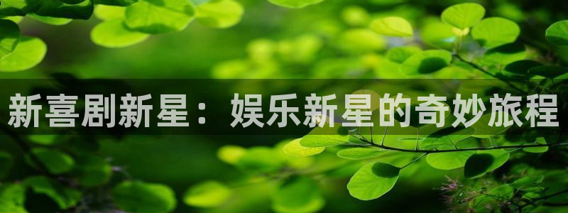 壹号大舞台网站：新喜剧新星：娱乐新星的奇妙旅程