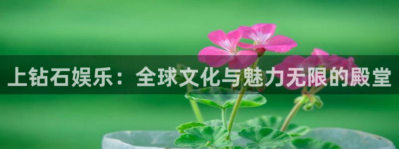 益达娱乐麻将胡了：上钻石娱乐：全球文化与魅力无限的殿堂
